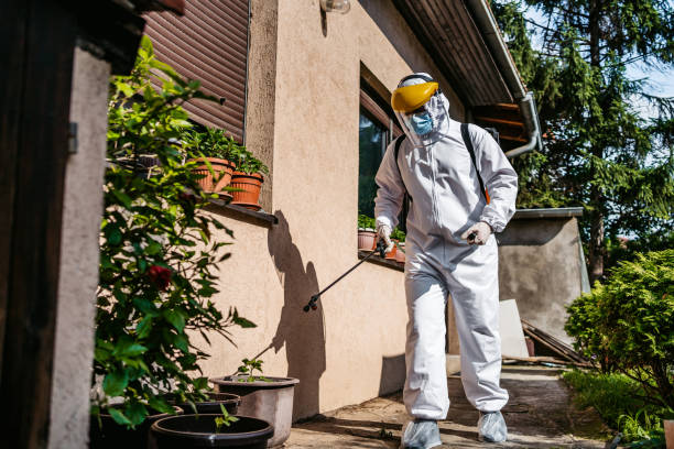 Best Best Pest Control Companies  in Lyman, MS