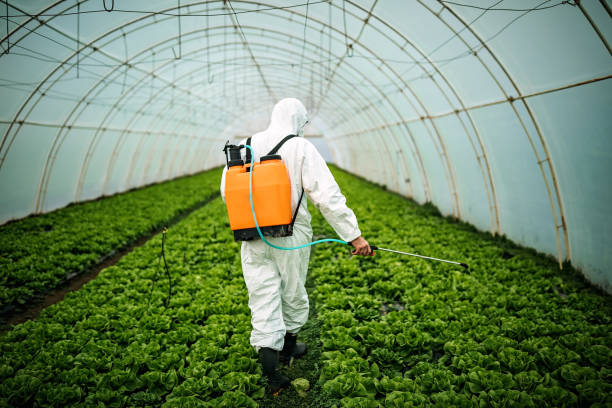 Best Residential Pest Control  in Lyman, MS