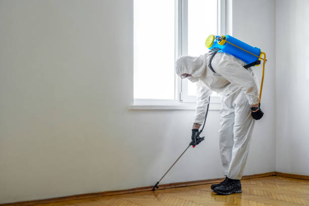 Best Pest Control Near Me  in Lyman, MS