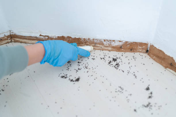Best Pest Removal Services  in Lyman, MS